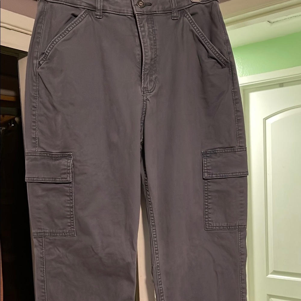 Hollister Gray Cargo Pants with Sturdy Cotton Blend